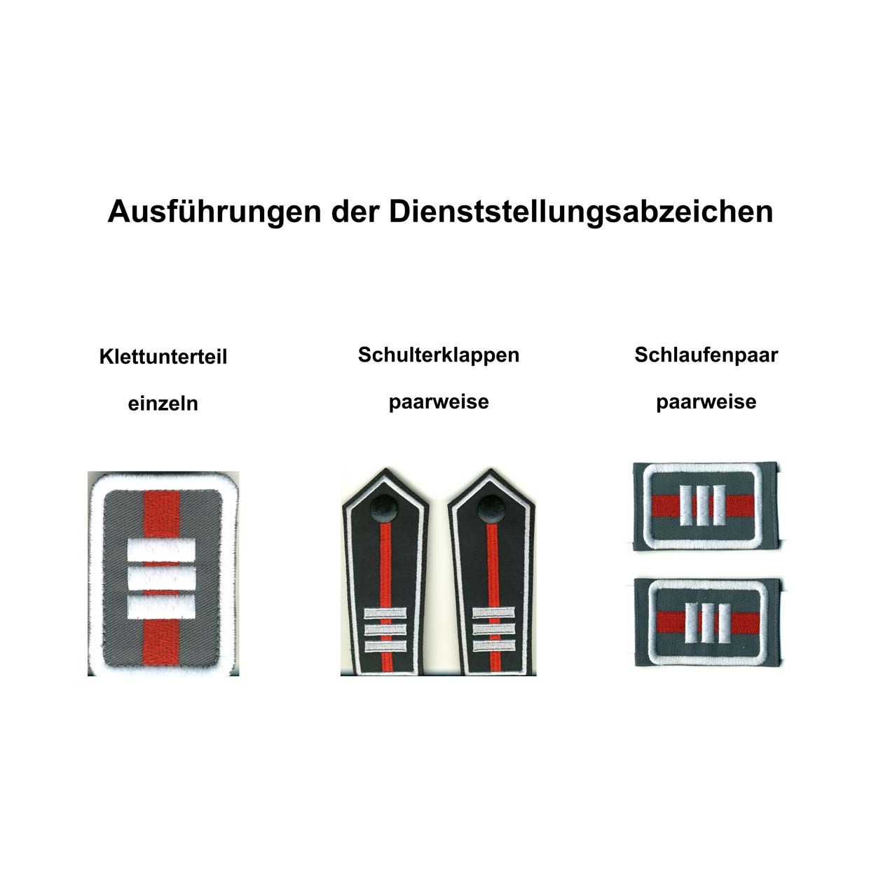 Dienststellungsabzeichen Landesarzt und stv.